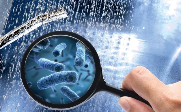 legionella-magnified Legionella Disease-magnified.